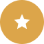 Star Icon